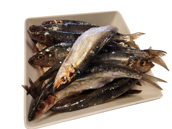 Hjemmelavet salt sild